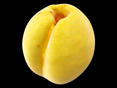 Apricot 02 with 5 LODs PBR 3D Model