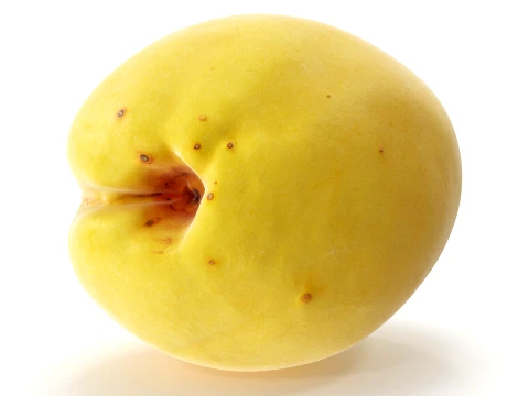 Apricot 02 with 5 LODs PBR 3D Model