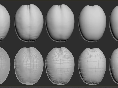 Apricot 02 with 5 LODs PBR 3D Model