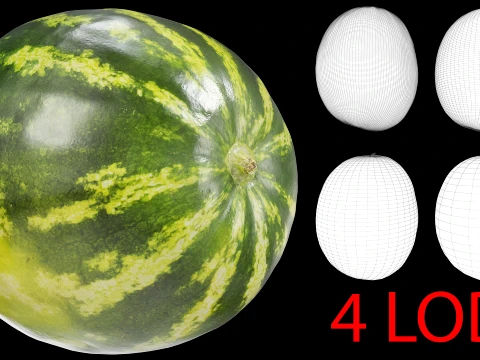 4 LOD PBR'li Karpuz 02 3D Model