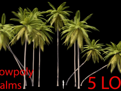 Conjunto Palms Low Poly 01 PBR com 5 KIDs Modelo 3D