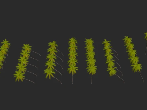 Palms Lowpoly Set 01 PBR with 5 LODs 3D Model