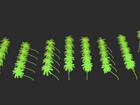 Palms Lowpoly Set 01 PBR with 5 LODs 3D Model
