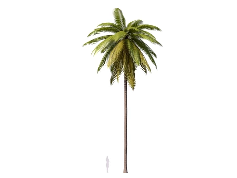 Palms Lowpoly Set 01 PBR with 5 LODs 3D Model