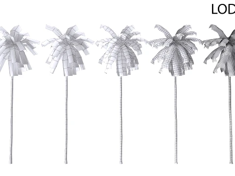 Palms Lowpoly Set 01 PBR with 5 LODs 3D Model