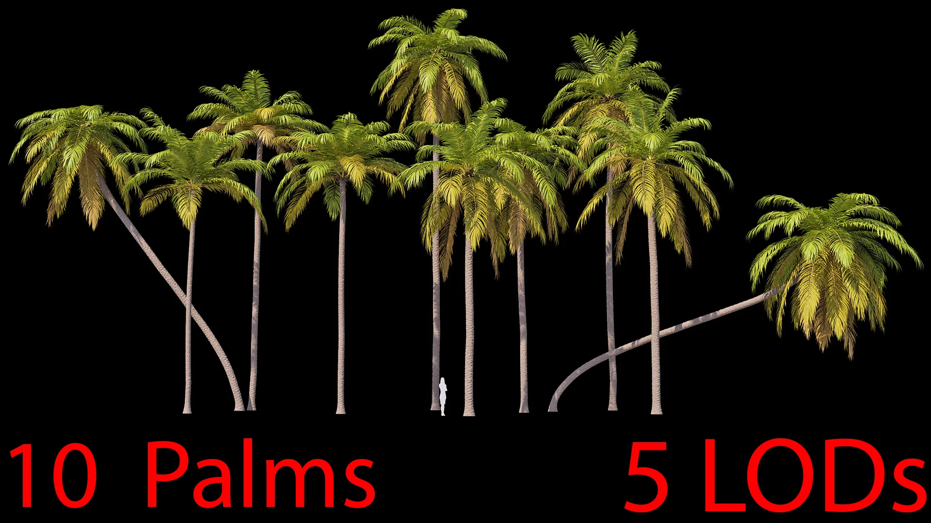 Palms Set 01 PBR with 5 LODs 3D Model .c4d .max .obj .3ds .fbx .stl .blend 