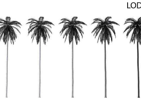 Palms Set 01 PBR with 5 LODs 3D Model