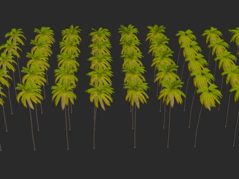 Palms Swaying in the Wind Set 02 PBR with 5 LODs 3D Model