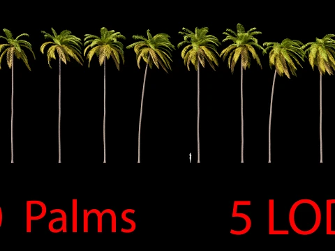 Palms Swaying in the Wind Set 02 PBR with 5 LODs 3D Model