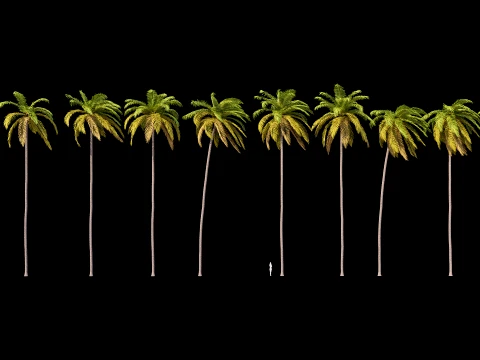 Palms Swaying in the Wind Set 02 PBR with 5 LODs 3D Model