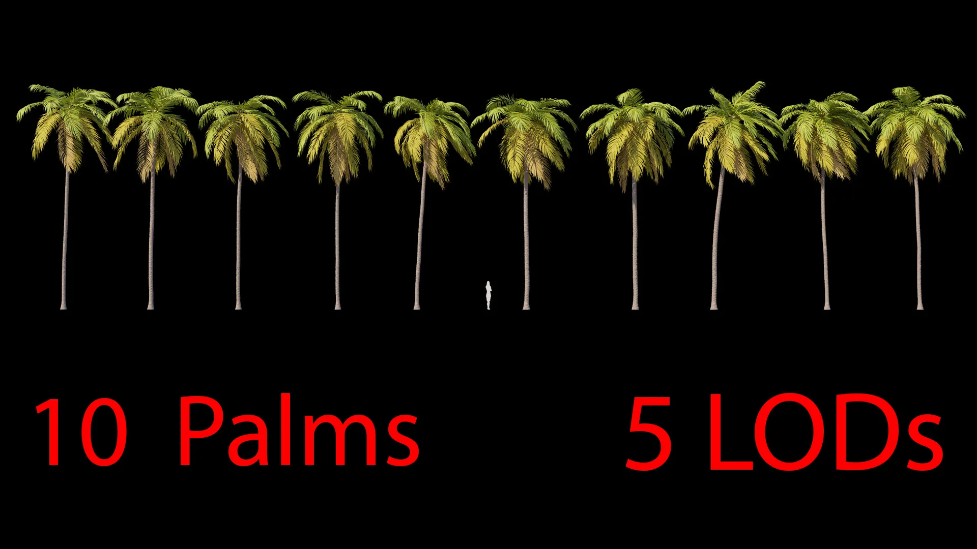 Palms Set 03 PBR with 5 LODs 3D Model .c4d .max .obj .3ds .fbx .stl .blend 
