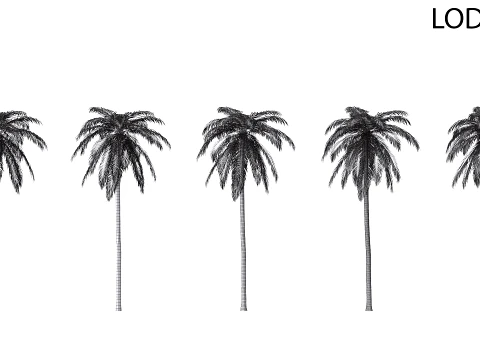 Palm 02 PBR with 5 LODs 3D Model