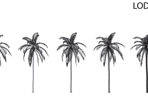 Palm 08 PBR (LOD 5 個付き) 3Dモデル