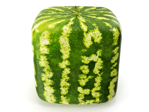 Watermelon square PBR 3D Model
