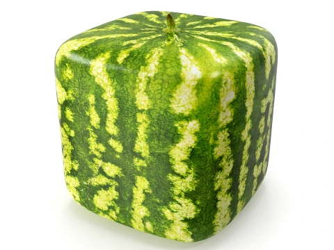 Watermelon square PBR 3D Model