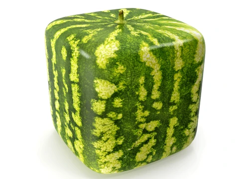 Watermelon square PBR 3D Model