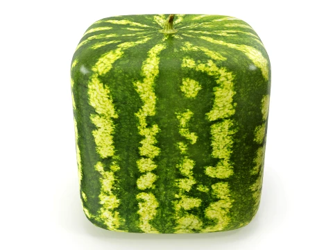 Watermelon square PBR 3D Model
