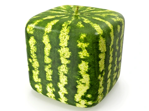 Watermelon square PBR 3D Model