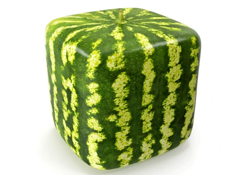 Watermelon square PBR 3D Model