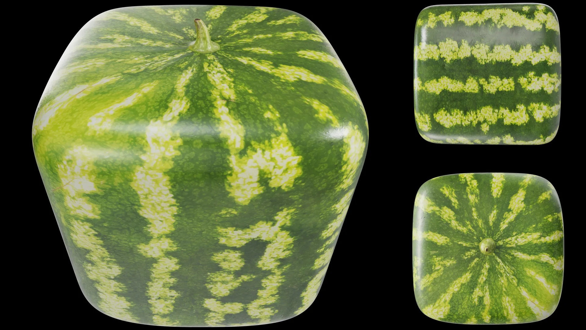 Watermelon square PBR 3D Model .c4d .max .obj .3ds .fbx .stl .blend 