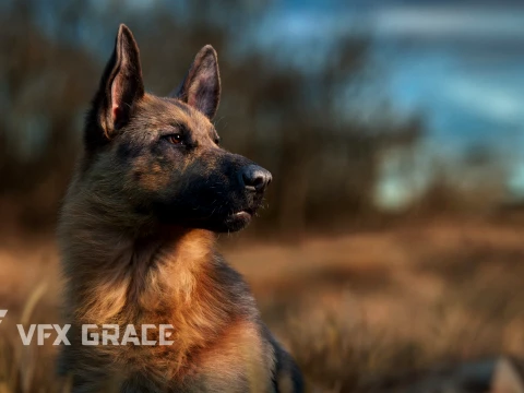Realistic German Shepherd Rigged Animated 3D Model