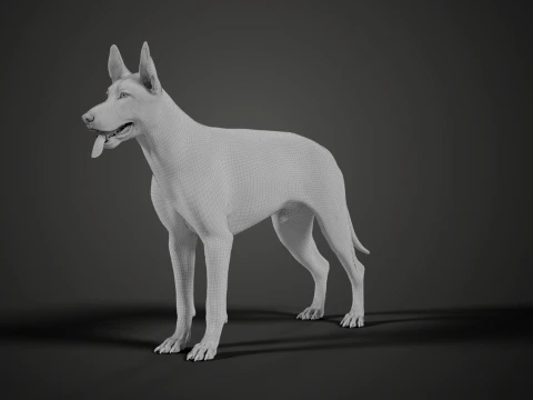 Realistic German Shepherd Rigged Animated 3D Model