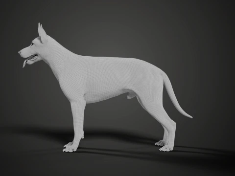Realistic German Shepherd Rigged Animated 3D Model