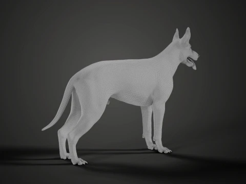 Realistic German Shepherd Rigged Animated 3D Model