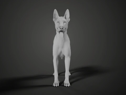 Realistic German Shepherd Rigged Animated 3D Model