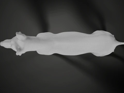 Realistic German Shepherd Rigged Animated 3D Model
