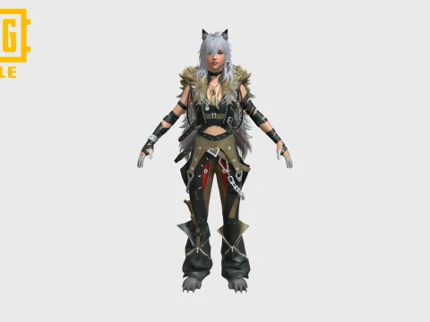 EQUINOX VULPES SET - PUBG MOBILE FEMALE CHARACTER 3D Modell
