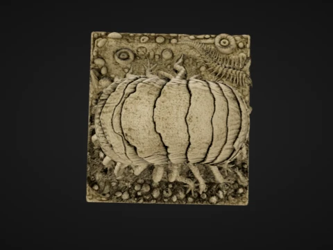 Mutated Ammonite 3D Print Model