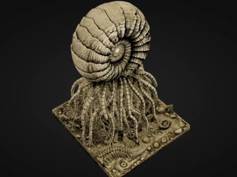 Mutated Ammonite 3D Print Model