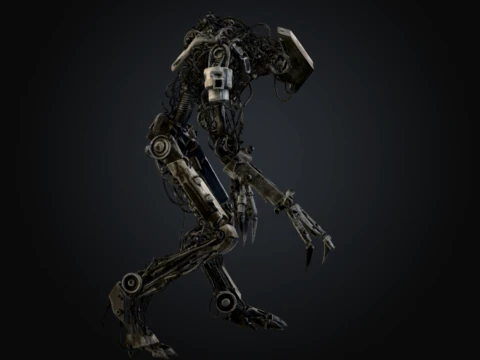 Scrap Husk 3D Model
