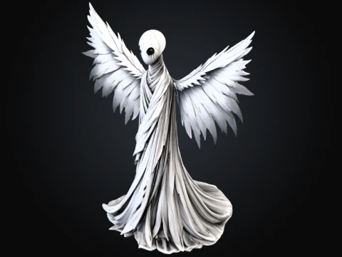 Winged Shroud 3D Model