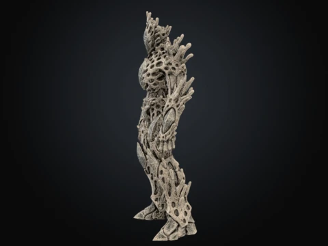 Calcified Coral Guardian 3D Model