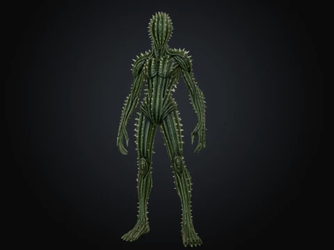 人形仙人掌 3D 模型