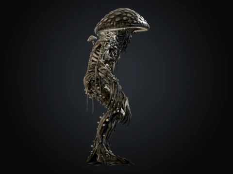 Mycelial Husk 3D Model