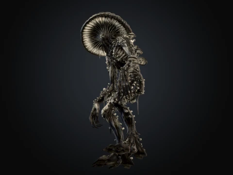 Mycelial Husk 3D Model