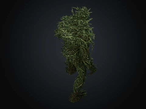 Bramble Thornweaver 3D Model