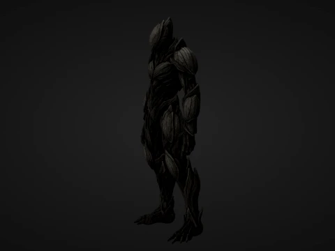 Ligneous Carapace 3D Model