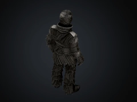 Somatic Patchwork 3D Model