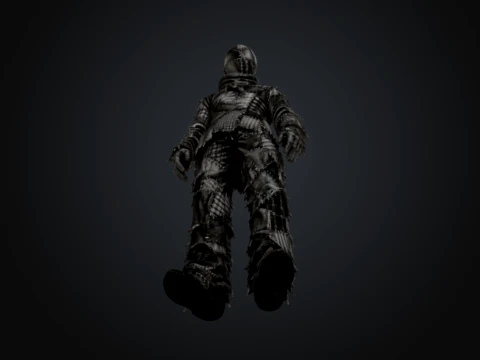 Somatic Patchwork 3D Model