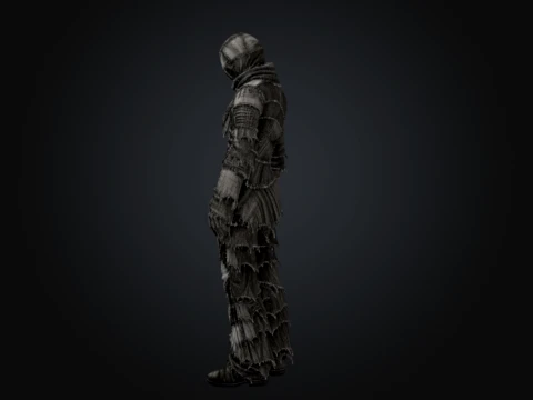 Somatic Patchwork 3D Model