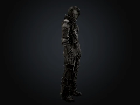 Somatic Patchwork 3D Model