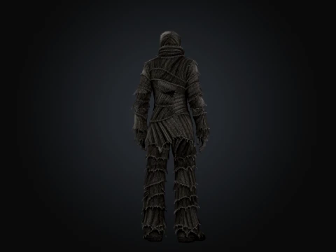 Somatic Patchwork 3D Model