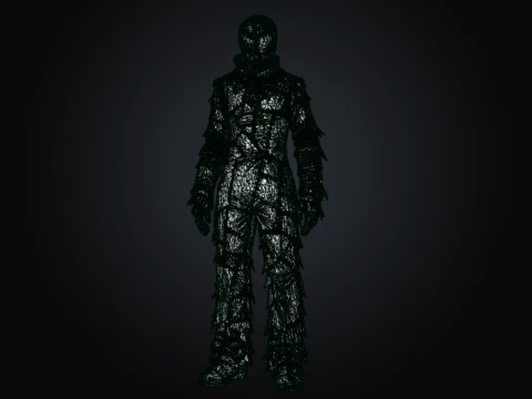 Somatic Patchwork 3D Model