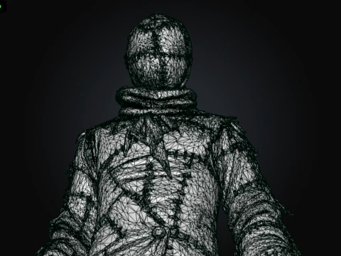 Somatic Patchwork 3D Model