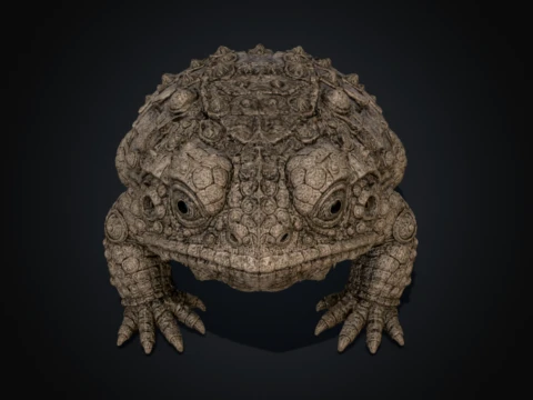 Lithic Bufonidae 3D Model