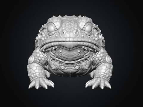 Lithic Bufonidae 3D Model